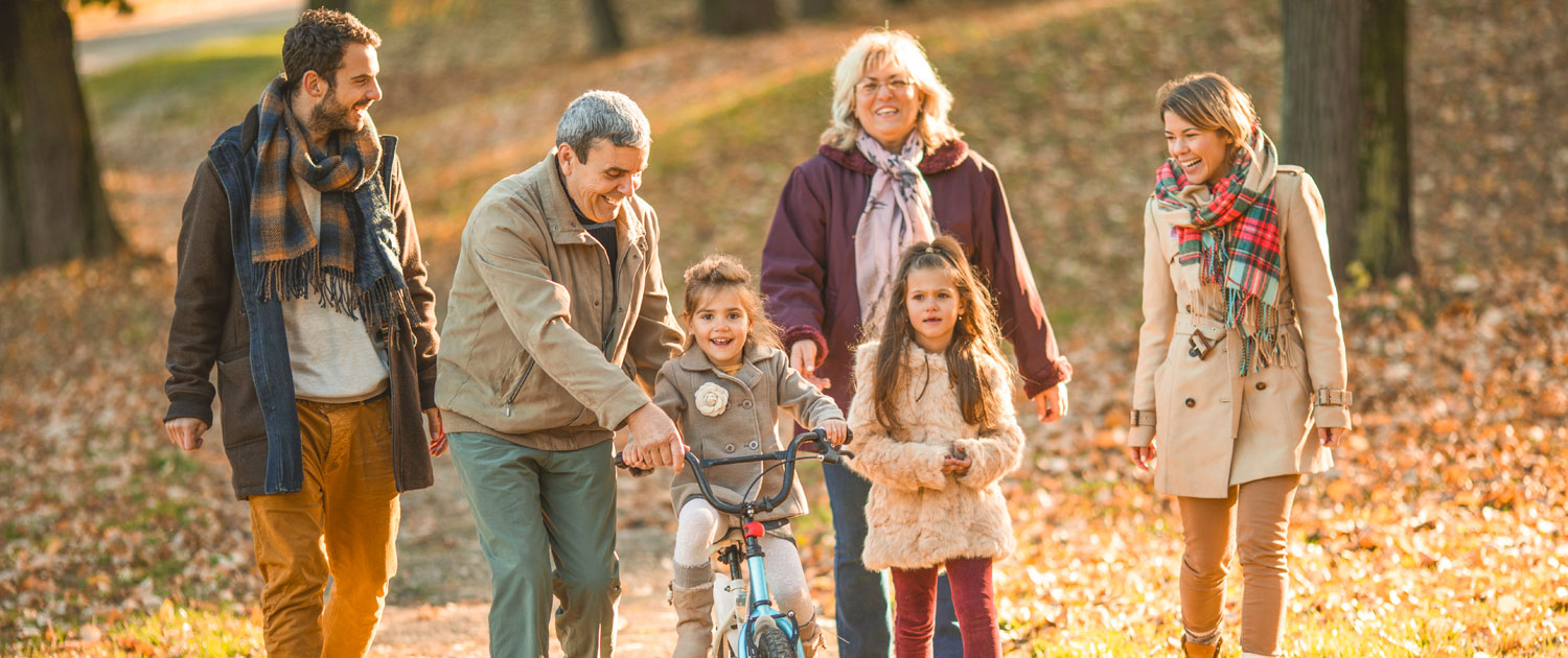 Familientherapie Wolf Kirchmann